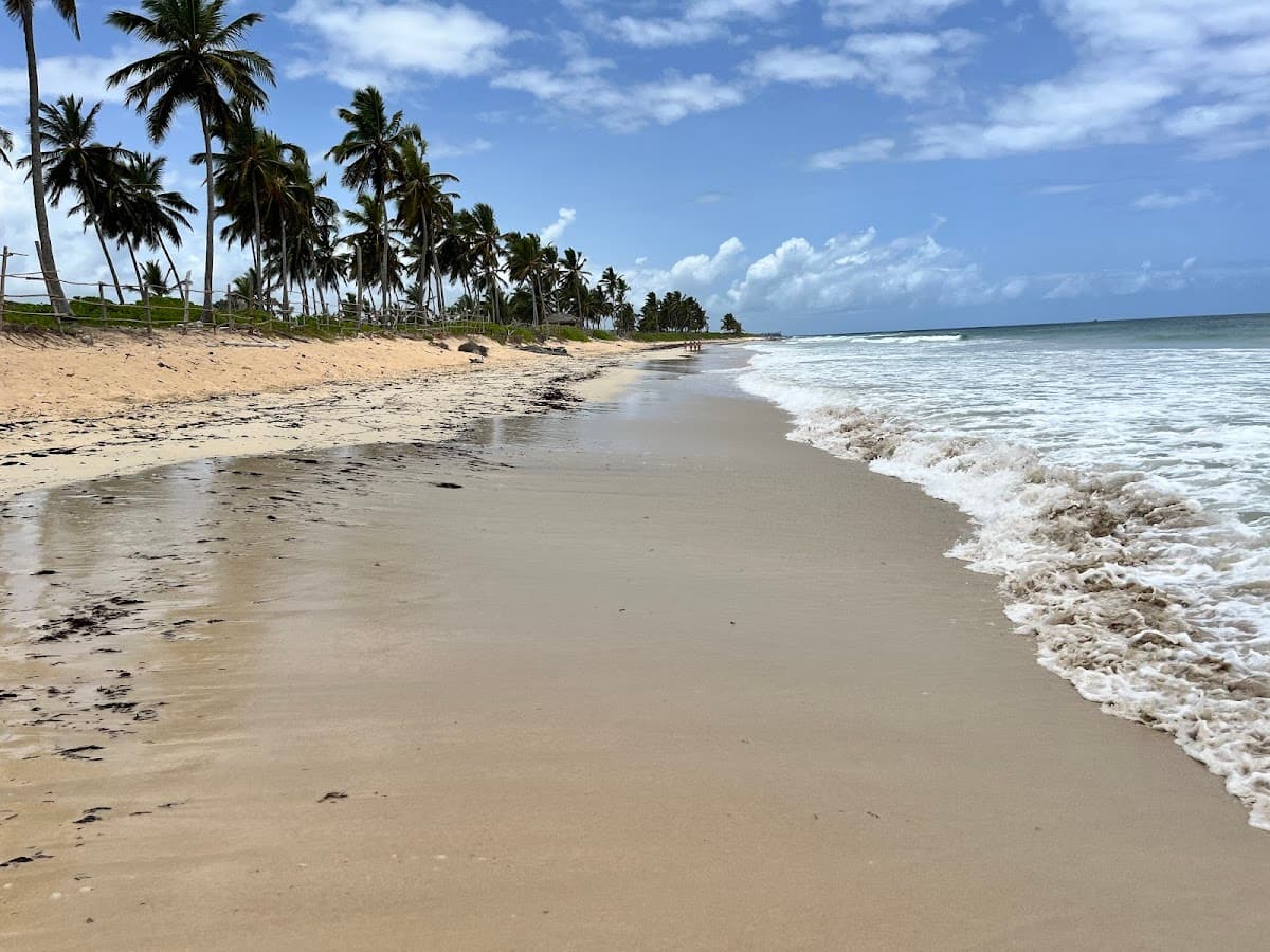 플라야 엘 마카오