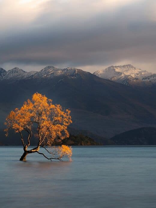 Wanaka