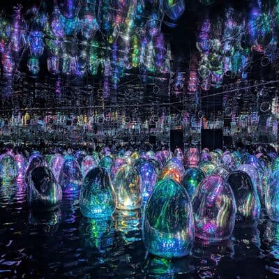 teamLab Phenomena Abu Dhabi