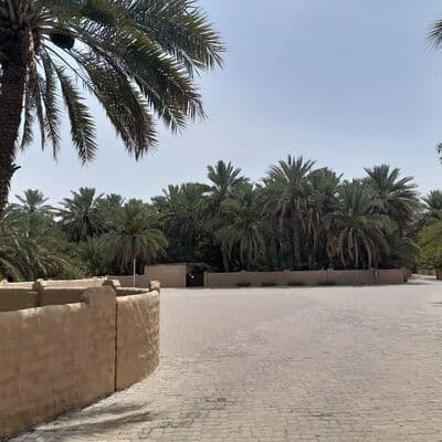 Oasis d'Al Ain