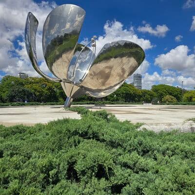 플로랄리스 헤네리카