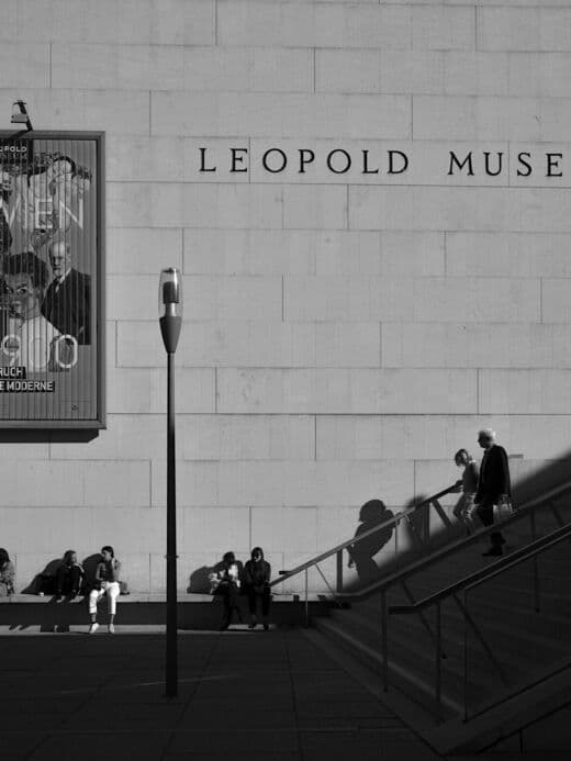 Museo Leopold