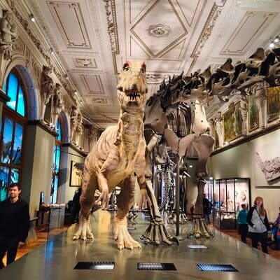Museo de Historia Natural de Viena