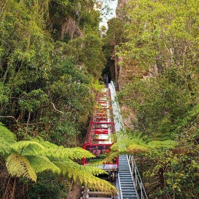 Scenic World