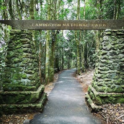 Parque Nacional Lamington