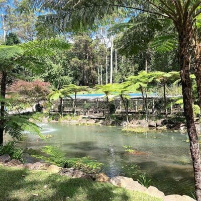 جبل تامبورين