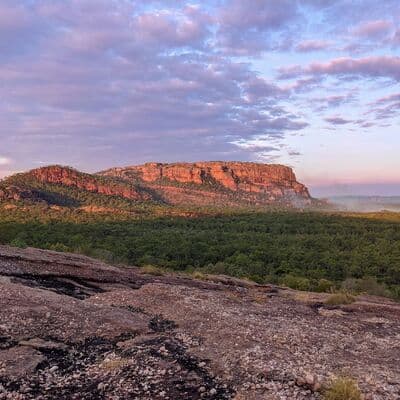 Kakadu