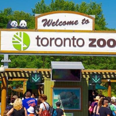 حديقة حيوان تورنتو