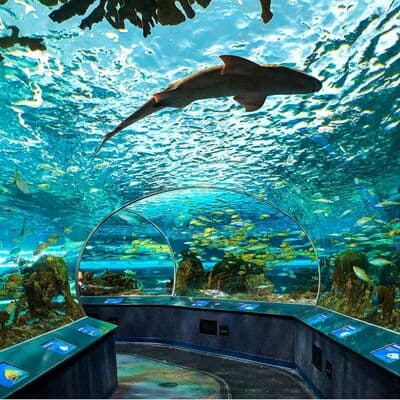 Acuario Ripley's de Canadá
