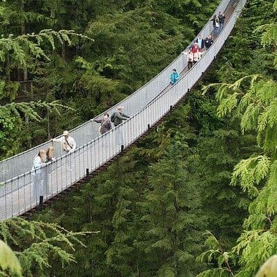 Puente Colgante Capilano