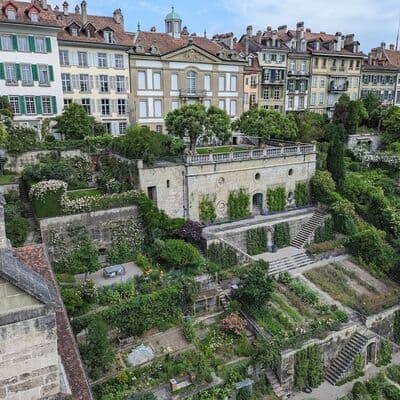 Plataforma del Münster