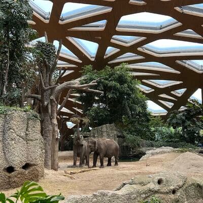 Zoológico de Zúrich