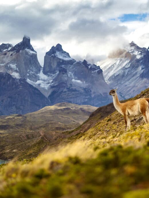 Torres del Paine