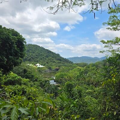 غابة يانودا الاستوائية