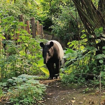 ライプツィヒ動物園