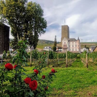 Casco Antiguo de Rüdesheim