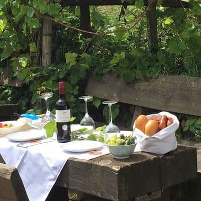 Crucero por el Rio Rin