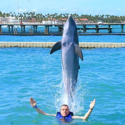 돌핀 익스플로러