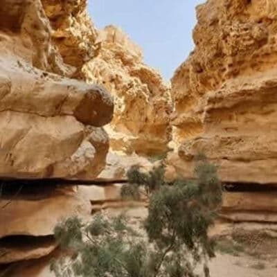 Protectorado de Wadi Degla