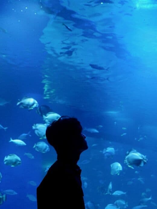 Gran Acuario de Hurghada