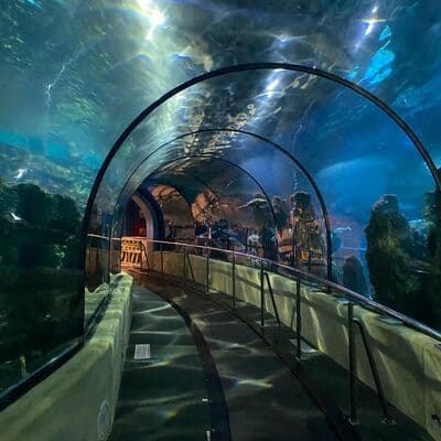 L'Aquarium Barcelona