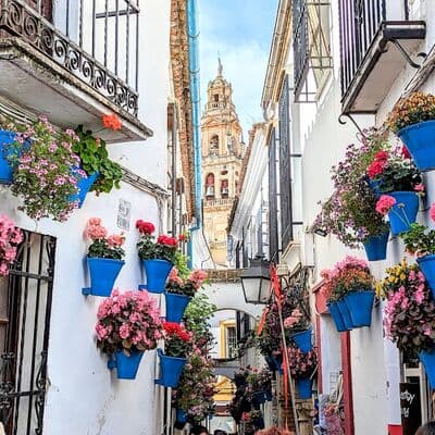 زقاق الزهور