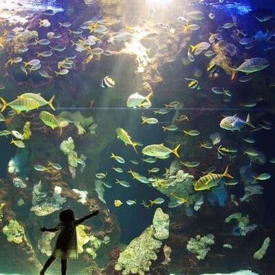 Aquarium de San Sebastián