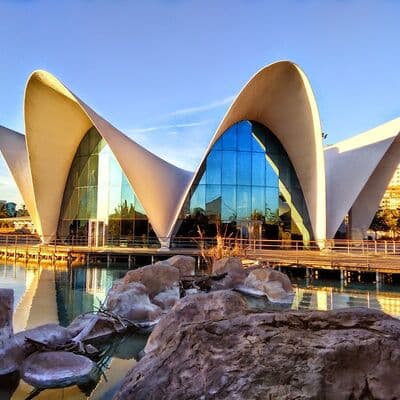 오세아노그라픽 발렌시아