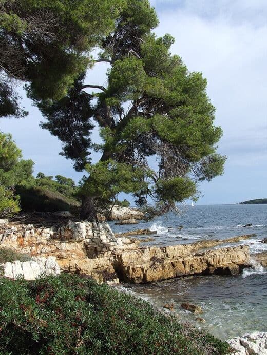 Insel Sainte-Marguerite