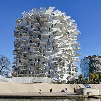 L'Arbre Blanc (El Árbol Blanco)