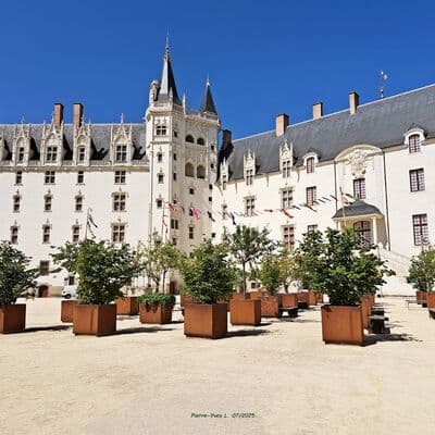 ब्रिटनी के ड्यूक का महल