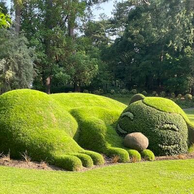 वनस्पति उद्यान