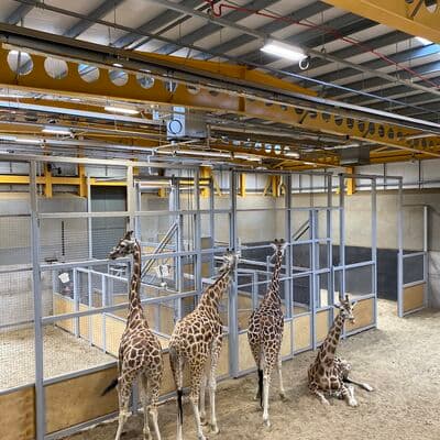 Zoológico de Edimburgo