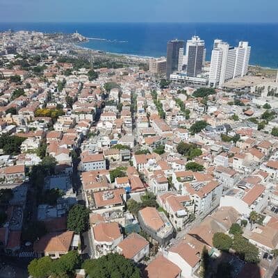 نيفي تسيديك