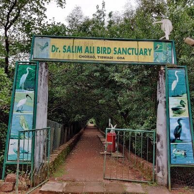 Santuario de Aves Salim Ali