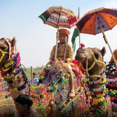 Feria de Camellos de Pushkar