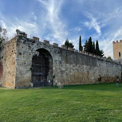 Murallas Medievales de Pisa