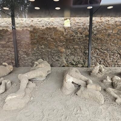 Сад беглецов