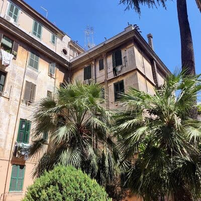 टेस्टाकियो