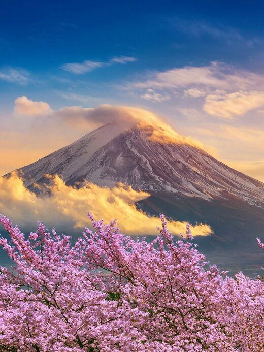 Mount Fuji