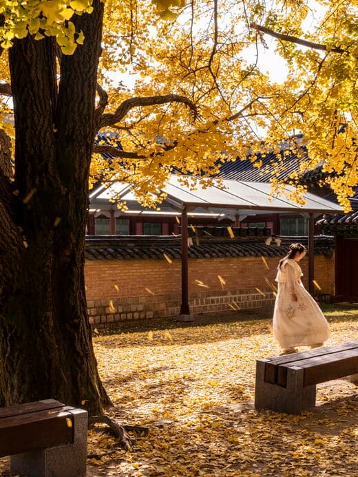 Palaces & Insadong Walk