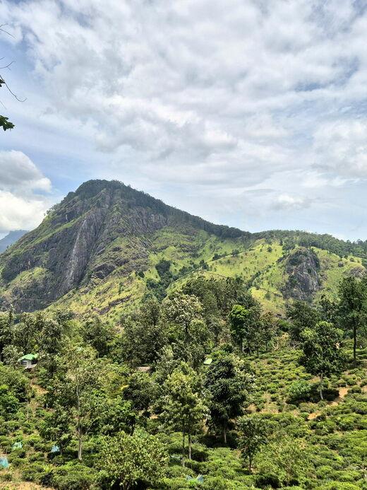 Малый Пик Адама