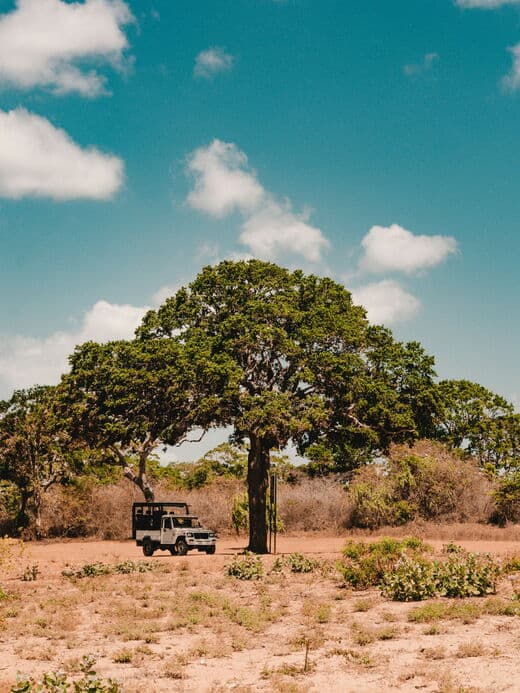 Parque Nacional de Yala