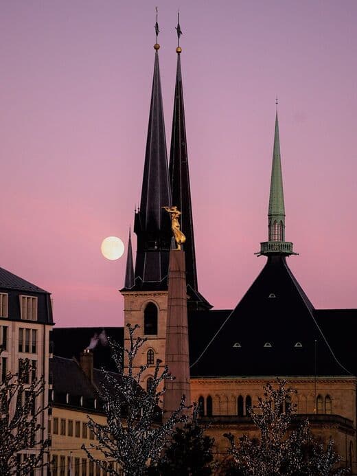 كاتدرائية نوتردام