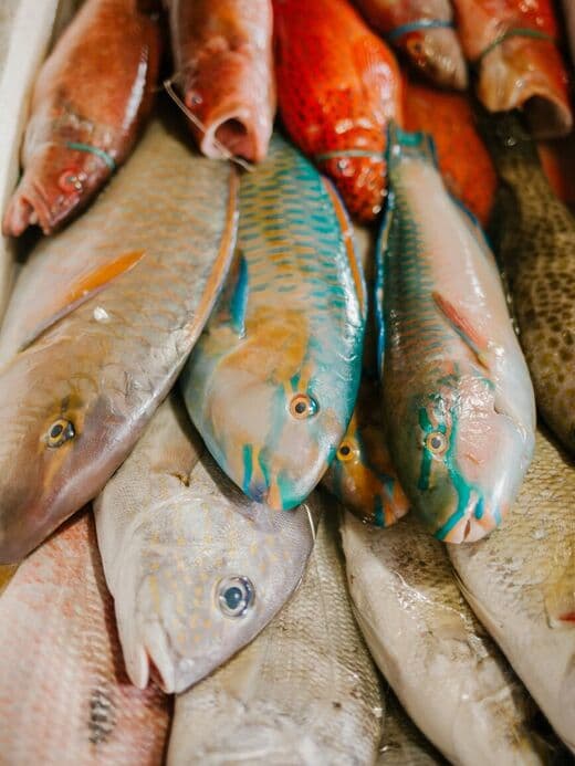 Mercado de Pescado de Malé