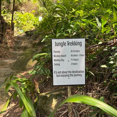 Trekking na Selva de Tioman