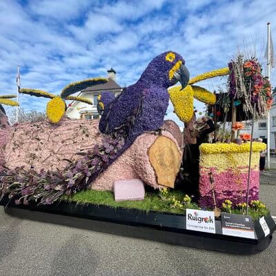 Desfile de Flores Bollenstreek