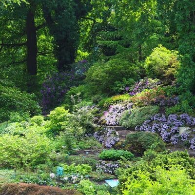 Jardín Botánico de Utrecht