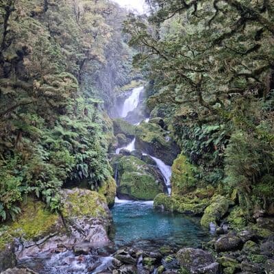 मिलफोर्ड ट्रैक