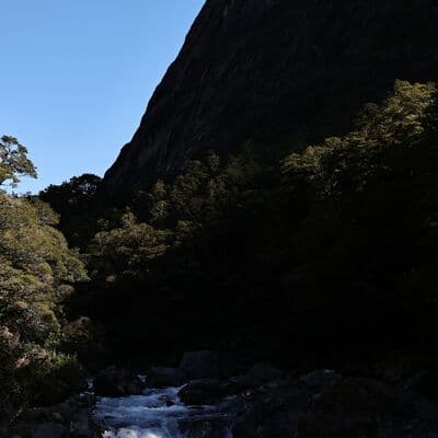 होमर टनल